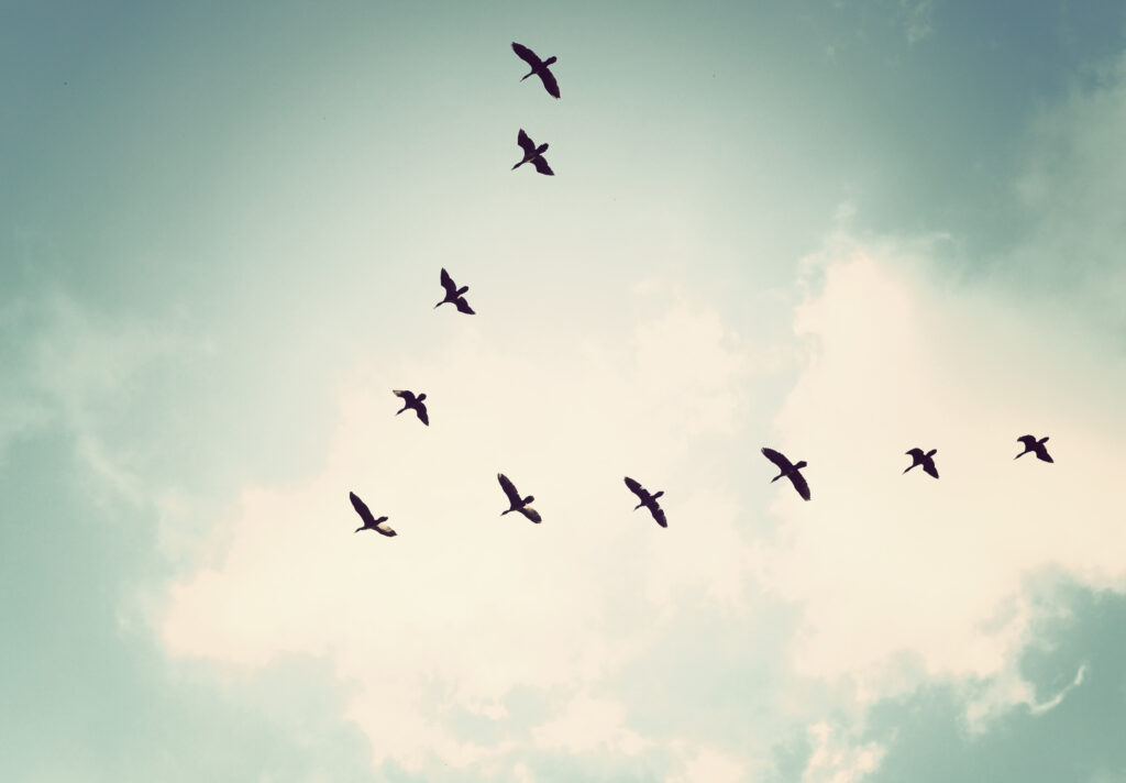 Case comment: G v G - New guidance on applications for return orders with parallel asylum claims