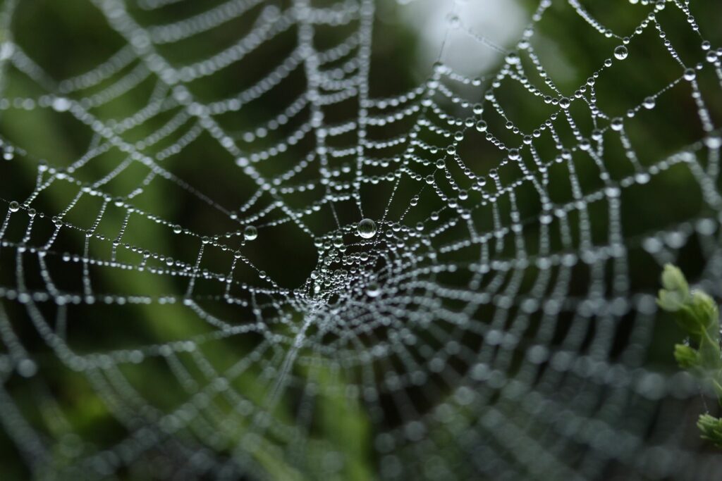 World Check Database: due diligence or blacklist?