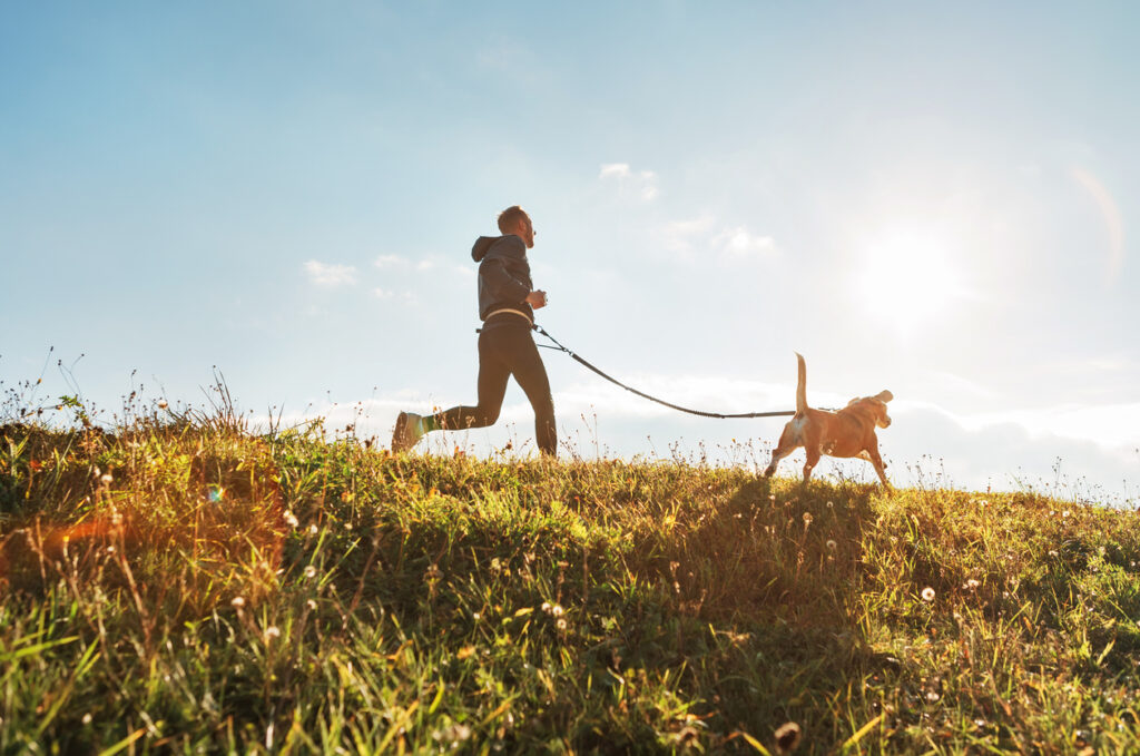 National Cholesterol Month: the importance of maintaining a healthy cholesterol level