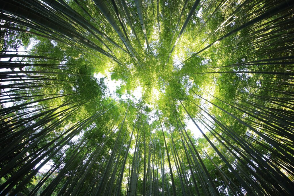 How can solicitors confront the climate crisis?
