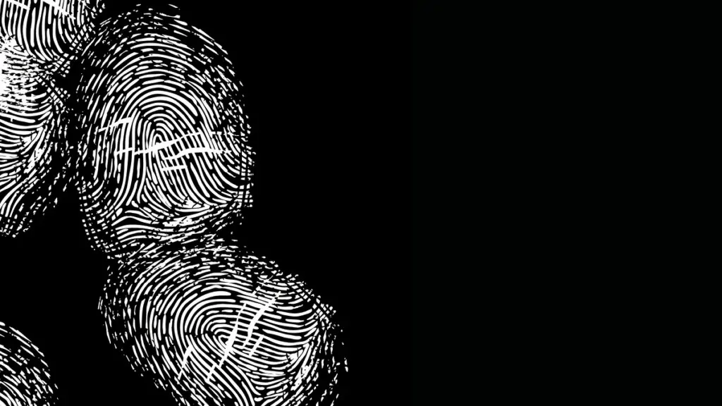 Have you got a history? Background check on employees made mandatory