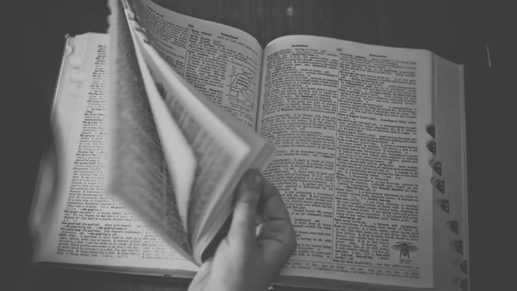 Not all bad news: Supreme Court dismisses English language challenge