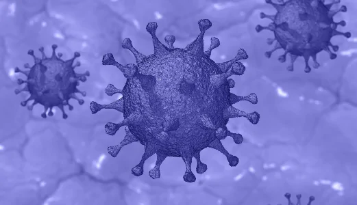 New Government Coronavirus Law and Regulations – two out  in one week -  a hugely confusing and confused mix!