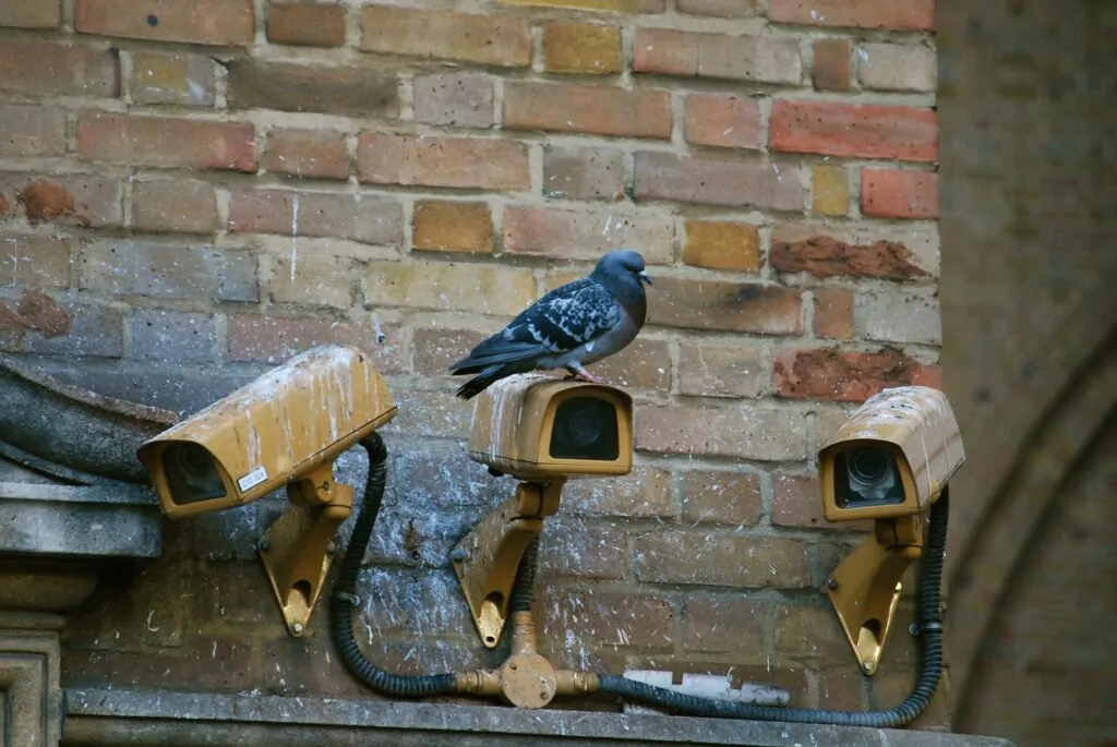 Fighting the insidious ‘Snoopers’ Charter’